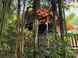 Hotel Heliconias Nature Inn & Hot Springs