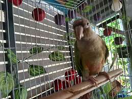 Vanlisut Hotel Ngamwongwan