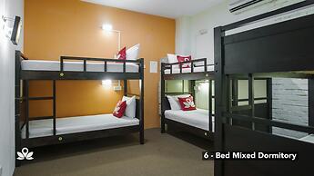 The Explorers Guesthouse and Hostel