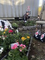 Arkadia Hotel & Hostel