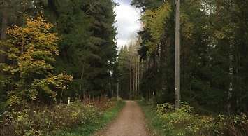 Arkadia Hotel & Hostel