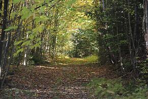 Mount Jefferson View