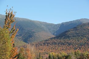 Mount Jefferson View