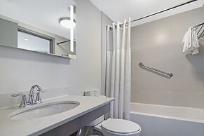 Roami at Habitat Brickell