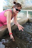 Wunderbar Beach Hotel