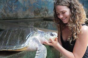 Wunderbar Beach Hotel