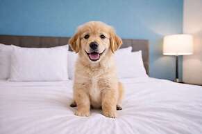 Best Western Plus Sikeston I-55