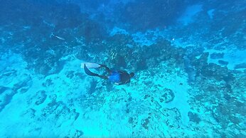 The Explorean Cozumel - All Inclusive