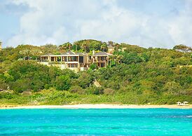 Anguilla's Bird of Paradise