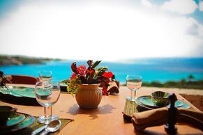 Anguilla's Bird of Paradise