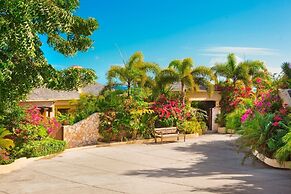 Anguilla's Bird of Paradise