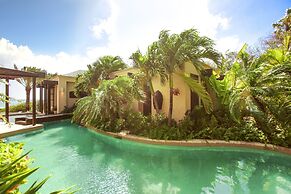 Anguilla's Bird of Paradise