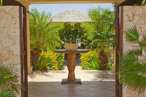 Anguilla's Bird of Paradise