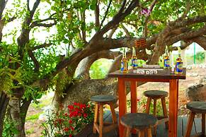 Anguilla's Bird of Paradise