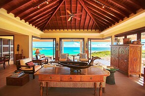 Anguilla's Bird of Paradise