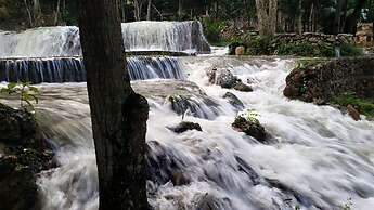 Altos de Caño Hondo