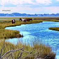 Snug Harbor Marina and Hotel