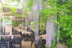 Hotel du Moulin à Vent Gerland