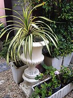 C2 Residence Boutique Hotel