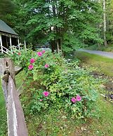 The Cabins at Healing Springs