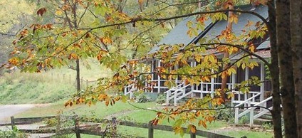 The Cabins at Healing Springs