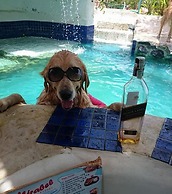 Mirabel Resort & Mini Golf