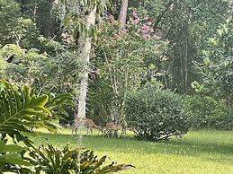 The Ann Stevens House