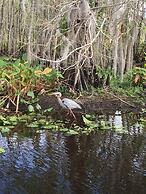 The Ann Stevens House