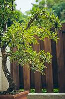 Bay Forest Boutique Hotel