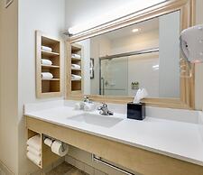 Holiday Inn Express & Suites San Antonio - Brooks City Base by IHG