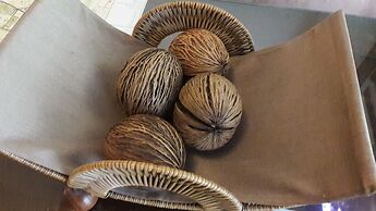 Smile Society Boutique Hostel