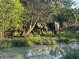 Africa Safari Selous