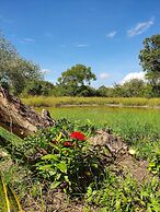 Africa Safari Selous
