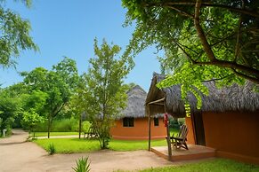 Africa Safari Selous