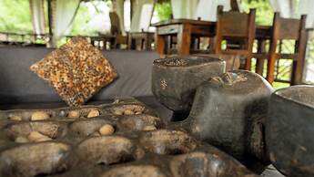 Africa Safari Selous