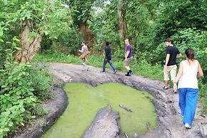 Africa Safari Selous