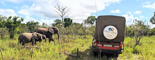 Africa Safari Selous