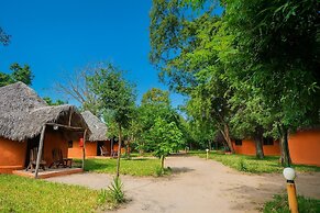 Africa Safari Selous