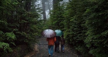 Cabañas Portal Pucon