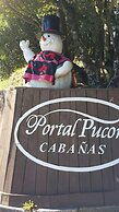 Cabañas Portal Pucon