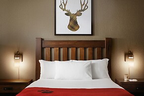 Great Wolf Lodge Boston / Fitchburg, MA