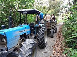 Danta Corcovado Lodge