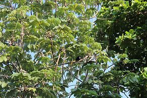 Jaco Lodge Quiet Hotel