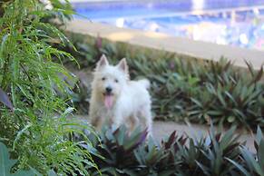 Jaco Lodge Quiet Hotel