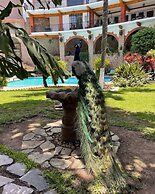 Hotel Posada San Javier