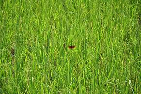 ViengTara VangVieng Resort