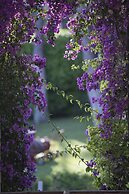 Turquoise Hotel - All Inclusive