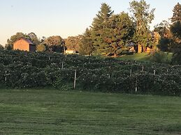 Nauvoo Grand Bed & Breakfast