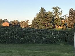 Nauvoo Grand Bed & Breakfast