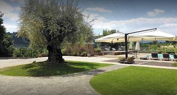 Tenuta D'Amore